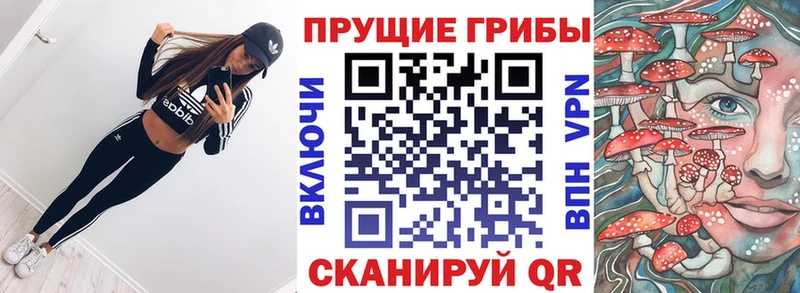Псилоцибиновые грибы мухоморы  наркотики  Ялуторовск 