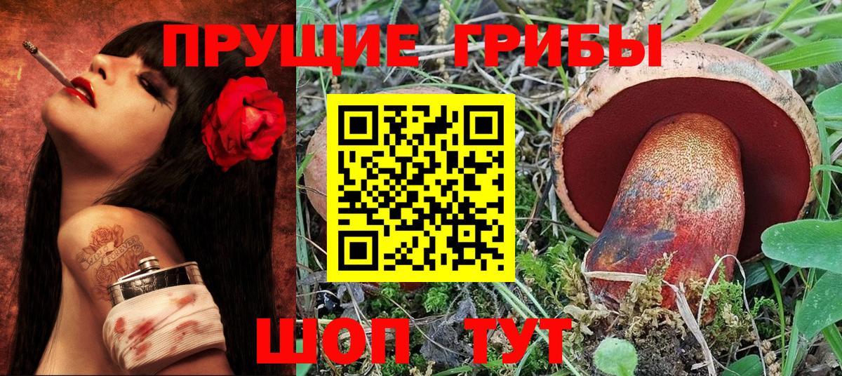 Ялуторовск  Галлюциногенные грибы Psilocybine cubensis  Вход с VPN 